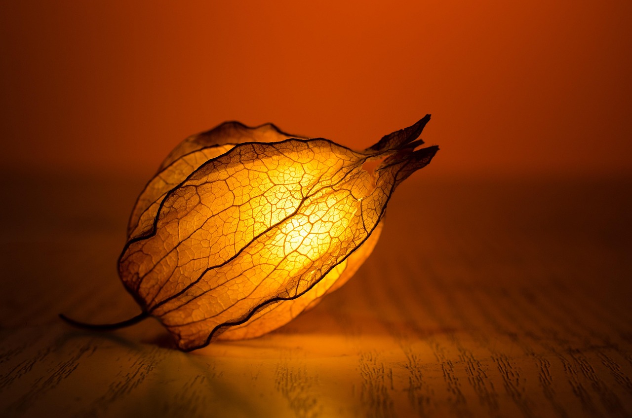 Warm amber night light glowing in a dark room